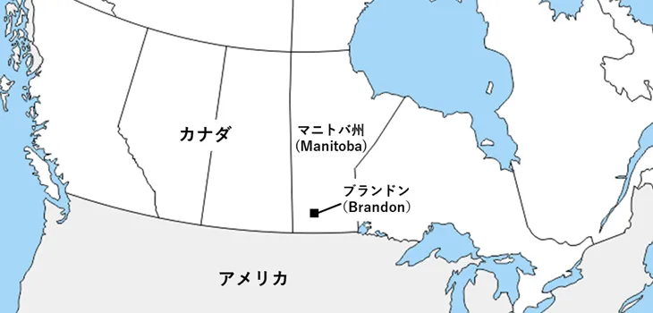 最新海外