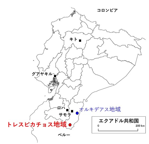 最新海外